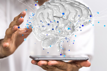 花椒树有几种除草方式