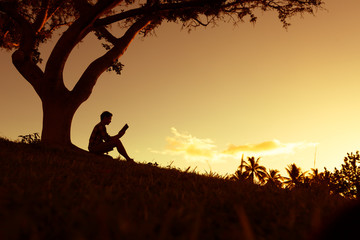 《江畔独步寻花》的全诗是哪位大诗人写的？