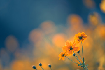 十大暖气片排名是谁