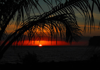 北京南站到岳各庄桥北怎么走