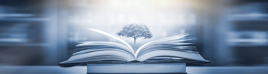 什么是A级风景区