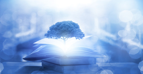 北京南站到岳各庄桥北怎么走