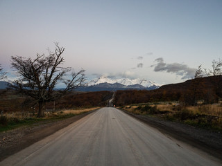 花椒树有几种除草方式
