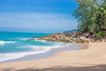 《江畔独步寻花》的全诗是哪位大诗人写的？