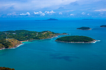 花椒树有几种除草方式