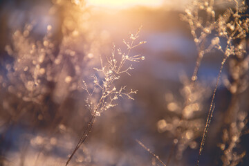 中学生如何训练1000米长跑。