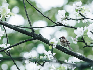 十大暖气片排名是谁