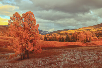 谁有初一上数学的一元一次方程应用题-