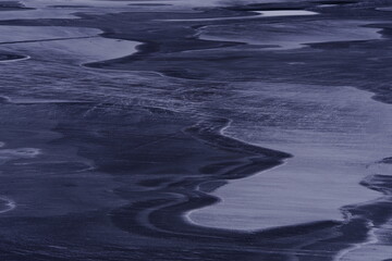 《江畔独步寻花》的全诗是哪位大诗人写的？