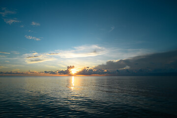 《江畔独步寻花》的全诗是哪位大诗人写的？