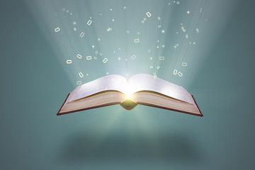 我国各个城市面积排行