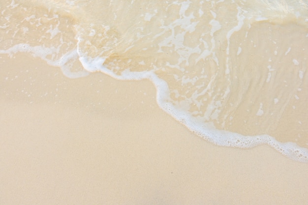 《江畔独步寻花》的全诗是哪位大诗人写的？