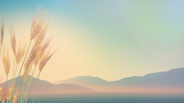 高铁站没带身份证怎么进站