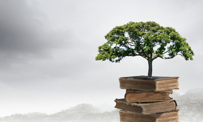 十大暖气片排名是谁