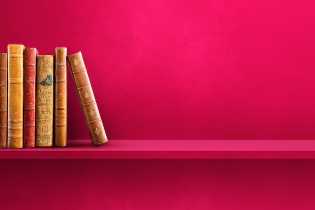 《江畔独步寻花》的全诗是哪位大诗人写的？