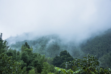 高铁站没带身份证怎么进站